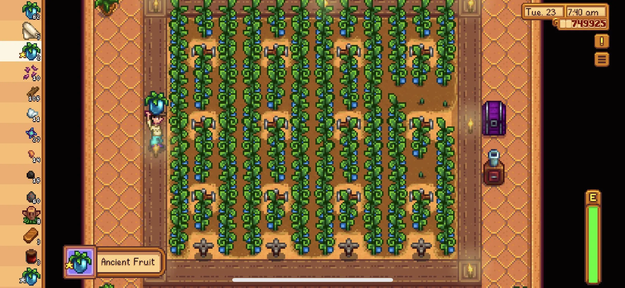 Panduan Ancient Fruit Stardew Valley: Cara Membangun Wine Empire & Kalkulasi Profit