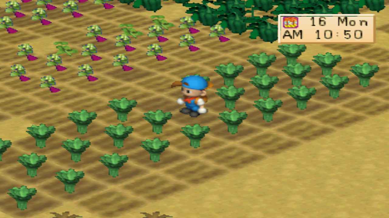 Panduan Lengkap Bibit Musim Gugur (Fall) Harvest Moon BTN