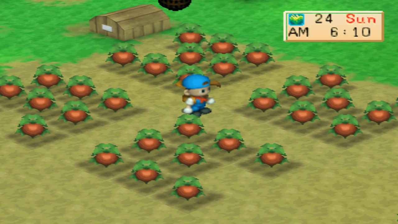 Panduan Lengkap Bibit Musim Panas (Summer) Harvest Moon BTN
