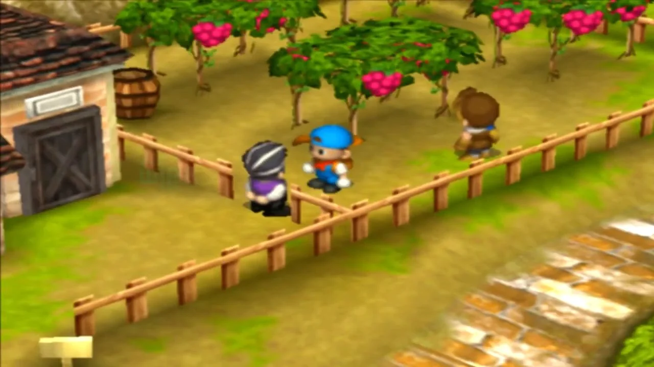 Cara Mencegah Cliff Pergi dari Mineral Town (Event Aja Winery)