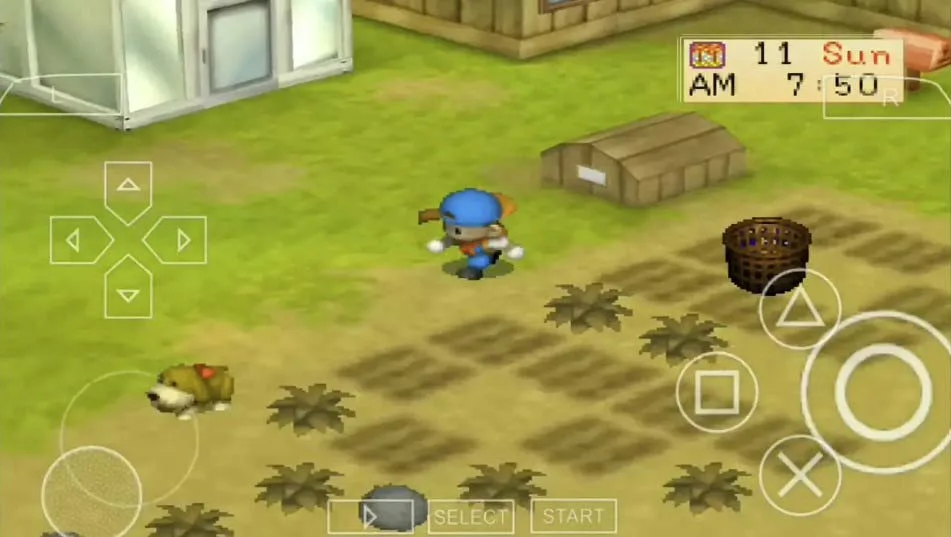 Cara Main Harvest Moon: Back to Nature di HP Android (Terbaru)