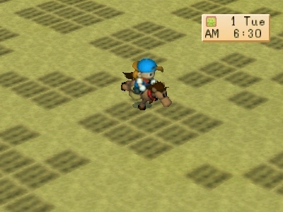 Kuda di Harvest Moon: Back to Nature PS1 — Cara Mendapatkan, Merawat, dan Menang di Festival Balap