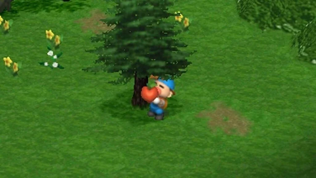 Pohon Cedar besar di Mother Hill Harvest Moon Back to Nature